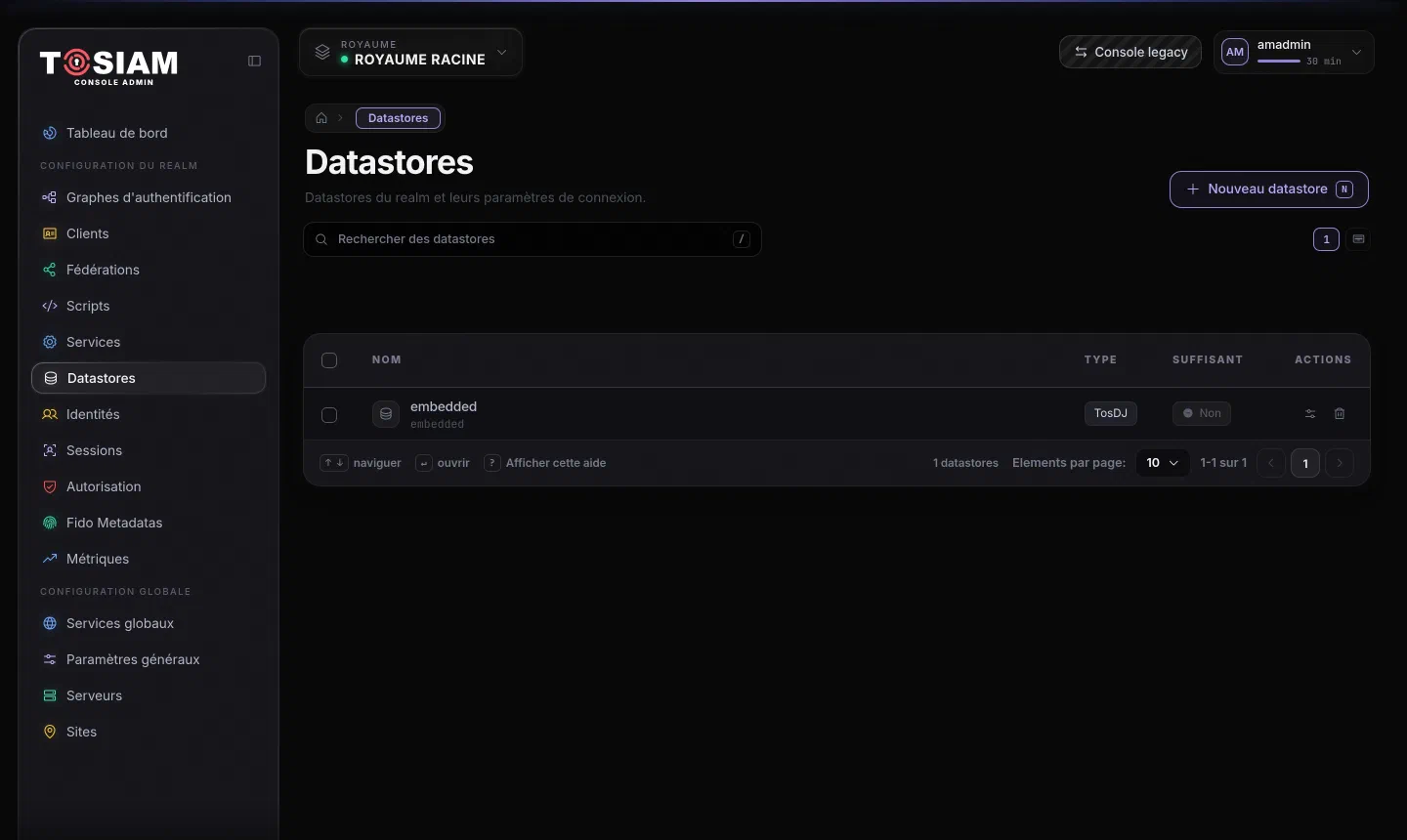 Menu Datastores de la console : le datastore embedded de type TosDJ, colonne Suffisant à Non
