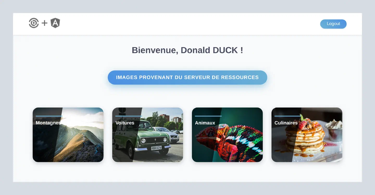 Application Angular connectée : bouton Logout et quatre albums photo Montagnes, Voitures, Animaux, Culinaires
